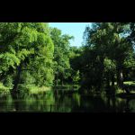 Jardin des Plantes © Ville du Mans Alain Szczuczynski