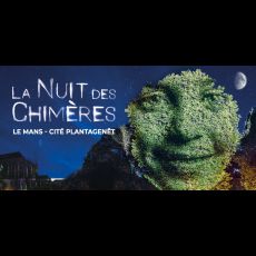 Visuel 梦幻灯光秀 (Nuit des Chimères)