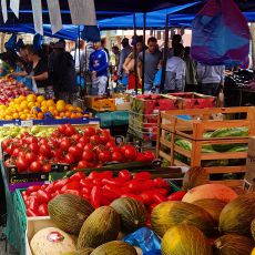 Visuel Marché des Sablons - Le Mans