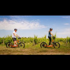 Visuel DÉCOUVERTE DE L’ARCHE DE LA NATURE EN TROTTINETTE ÉLECTRIQUE TOUT TERRAIN