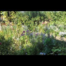 Visuel LE PARC DE TESSÉ
