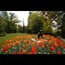 Visuel LE JARDIN DES PLANTES