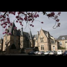 Visuel THE PLANTAGENET CITY