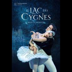 Visuel Le Lac des Cygnes