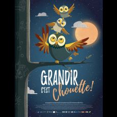 Visuel PICOLO CINEMA - GRANDIR C'EST CHOUETTE !
