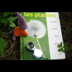 Visuel Sortie botanique et sensorielle