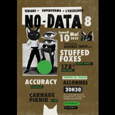 Visuel NO DATA 8 : CARTE BLANCHE À REVERSE TAPES