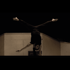 Visuel Fratello | Festival Le Mans fait son Cirque