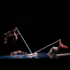 Visuel Tendre | Festival Le Mans fait son Cirque