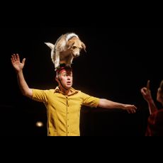 Visuel Le Cabaret renversé | Festival Le Mans fait son Cirque