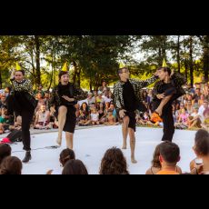 Visuel Vilain Chien | Festival Le Mans fait son Cirque