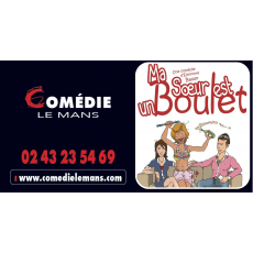 Visuel MA SOEUR EST UN BOULET