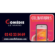 Visuel Célibataires