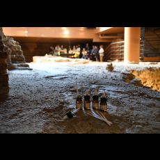 Visuel Visite Flash: Découverte olfactive aux thermes romains