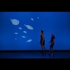 Visuel Le poisson qui vivait dans les arbres