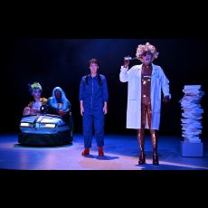 Visuel Peau d'âne - La fête est finie