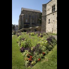 Visuel La cité Plantagenêt