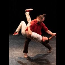 Visuel Spectacle | Les Bals Sauvages | Cie Le Doux Supplice