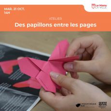 Visuel Des papillons entre les pages