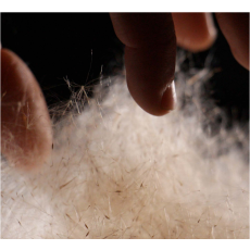 Visuel Visites-ateliers 