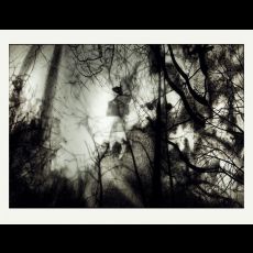Visuel Séance philo au musée de Tessé