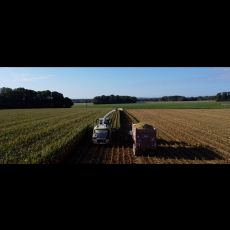 Visuel Semer et récolter