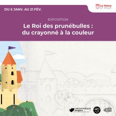 Visuel Le Roi des prunébulles : du crayonné à la couleur
