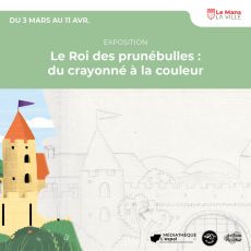 Visuel Le Roi des prunébulles : du crayonné à la couleur