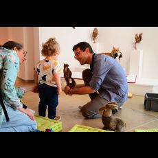 Visuel Baby hour, mes 1ers pas au musée d'archéologie