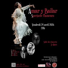 Visuel Spectacle Flamenco 
