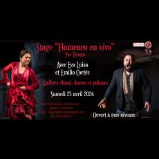Visuel Stage Flamenco Tientos Chant