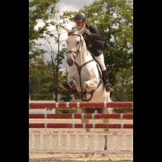 Visuel Pôle Européen du cheval