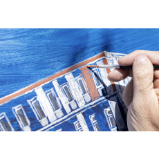 Visuel PORTES OUVERTES