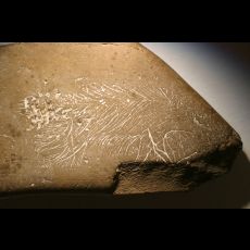 Visuel Atelier en famille : graveurs de mammouths