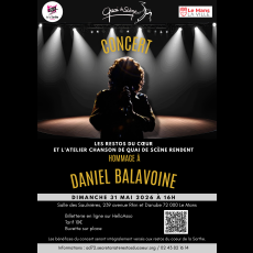 Visuel Concert Hommage à Daniel Balavoine
