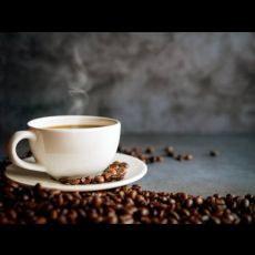 Visuel Un café, Albert ! Temps convivial au musée de Tessé