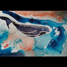 Visuel STAGE DESSIN AQUARELLE