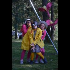 Visuel Spectacle « Le Safari Abeilles »