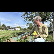 Visuel Visite de la ferme Le Panier à roulettes