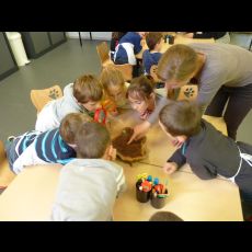 Visuel Atelier Dégustons la forêt