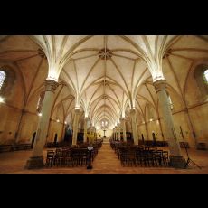 Visuel visite flash : l'hôtel-dieu de coëffort
