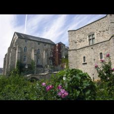 Visuel Visite Flash : Découverte olfactive dans la Cité Plantagenêt