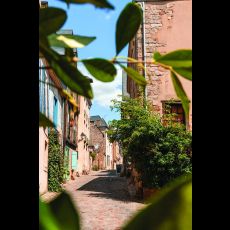 Visuel Visite flash : la cité Plantagenêt