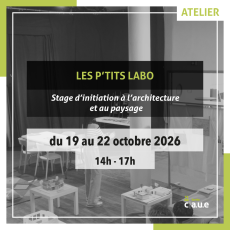 Visuel P'tits labos - CAUE de la Sarthe