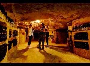 VISITE DE LA CAVE BACCHUS AU DOMAINE LELAIS Du 1/10/2023 au 28/10/2024