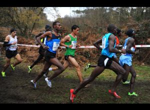 CROSS OUEST-FRANCE PAYS DE LA LOIRE