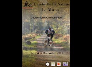 COURSE DE CHIENS DE TRAINEAUX