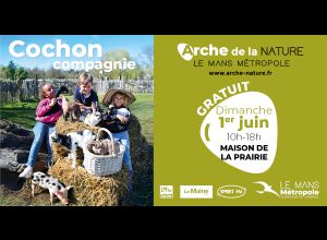 Cochon et compagnie