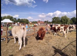 La ferme en fête