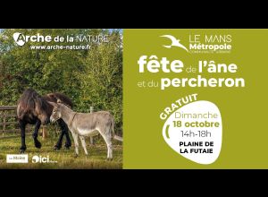 Fête de l'âne et du cheval Percheron